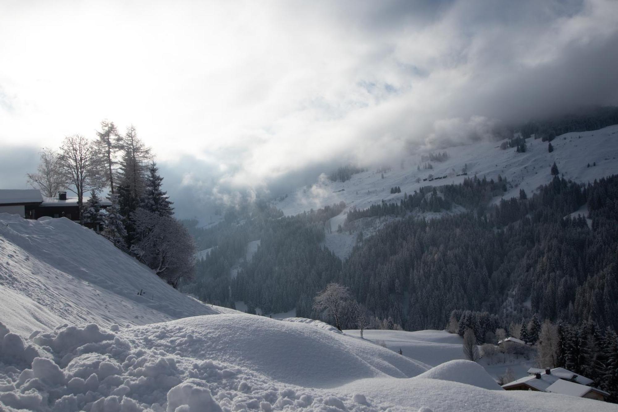 Ferienwohnung Bergpanorama Wild600 Schwarzenau  Экстерьер фото