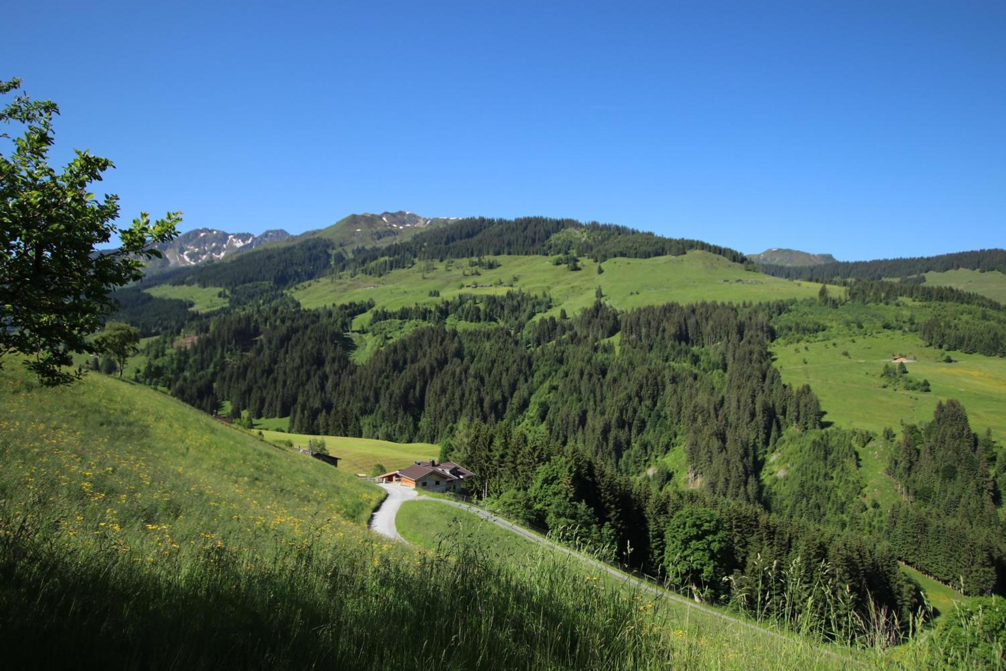 Ferienwohnung Bergpanorama Wild600 Schwarzenau  Экстерьер фото